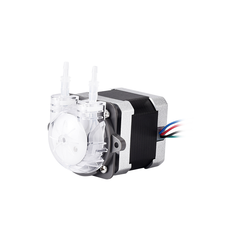 Pompa Peristaltica Micro PENGP - Mini Peristaltic Pump 12V recensione e prezzo
