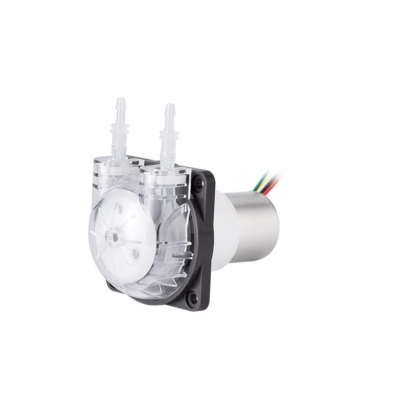 Pompa Peristaltica Micro PENGP - Mini Peristaltic Pump 12V recensione e prezzo